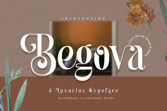 Begova: The Premium Display Serif for Modern Web Design